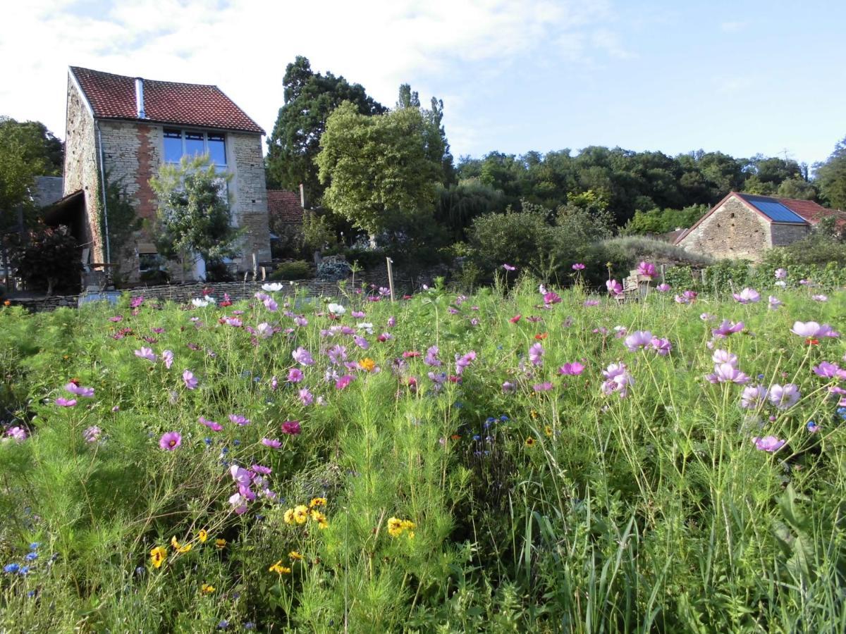 Vineyard Garden Studio Mont-Saint-Jean  ภายนอก รูปภาพ