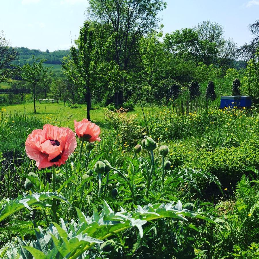 Vineyard Garden Studio Mont-Saint-Jean  ภายนอก รูปภาพ